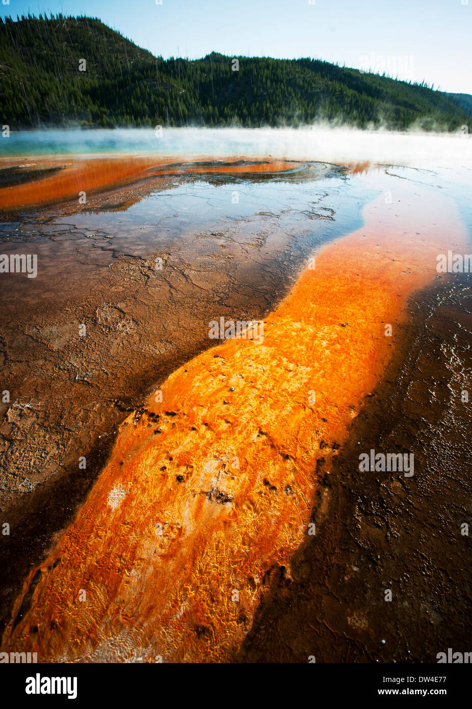 Grand Prismatic Spring - Yellowstone Banque D'Images