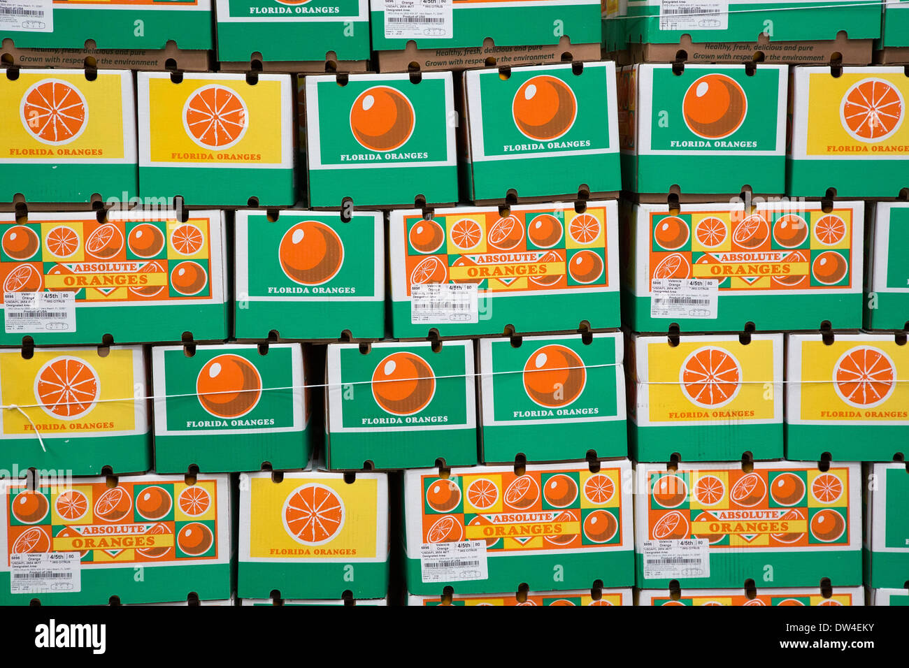 Vero Beach, Floride - Les Oranges sont empilées dans des boîtes prêtes à être expédiées à l'IMG Citrus d'emballage. Banque D'Images