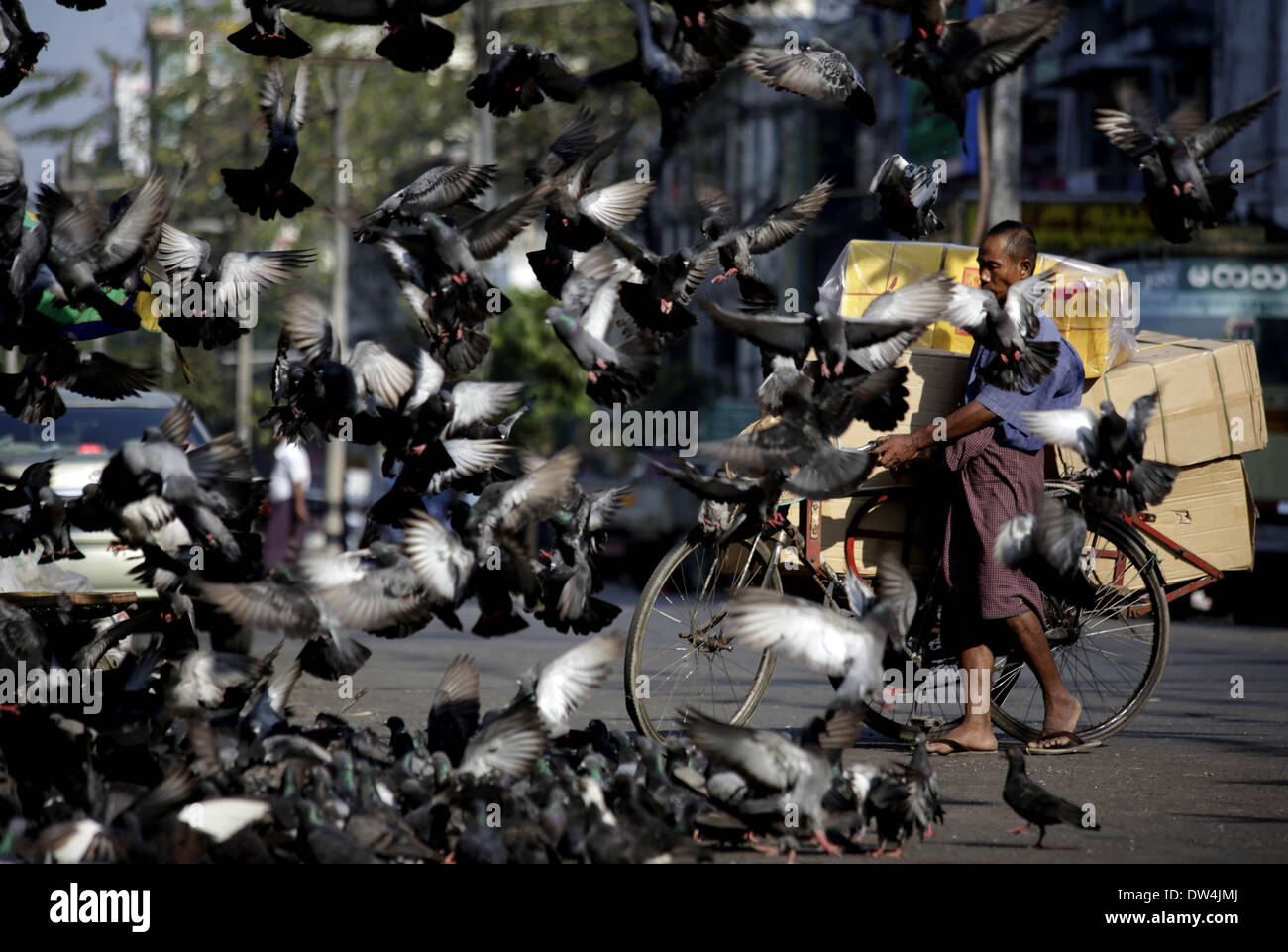 Yangon, Myanmar. Feb 27, 2014. Un homme pousse un trishaw car les pigeons voler au centre-ville de Yangon, Myanmar, le 27 février 2014. © U Aung/Xinhua/Alamy Live News Banque D'Images