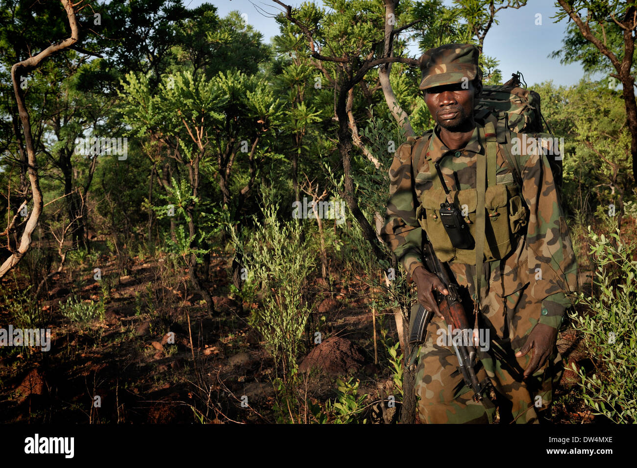 Les soldats ougandais de la Force de défense du peuple ougandais (UPDF) patrouille dans la jungle pendant une opération de chasse célèbre Armée de Résistance du Seigneur (LRA), Joseph Kony, chef. La LRA est un groupe rebelle militant chrétien. Banque D'Images