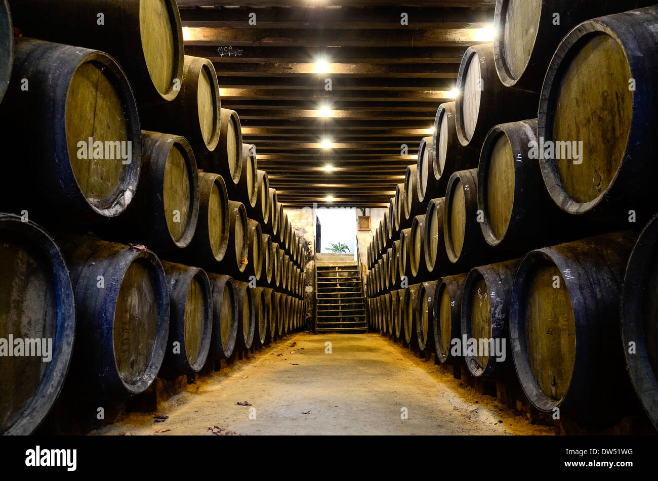 Wineries Tio Pepe, Jerez de la Frontera, Andalousie, espagne. Banque D'Images