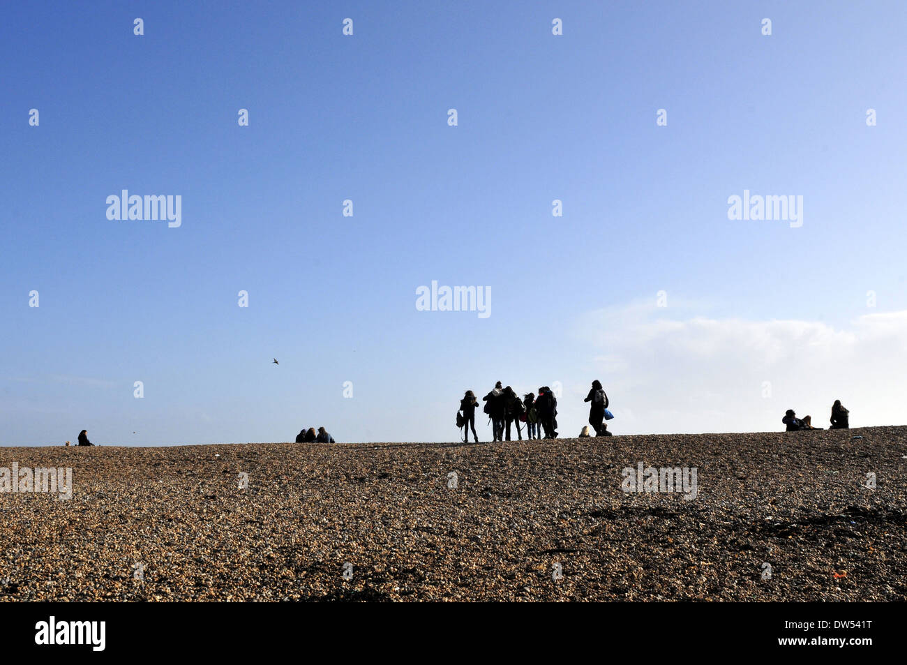 Un groupe de personnes sur une plage de Brighton, Royaume-Uni Banque D'Images