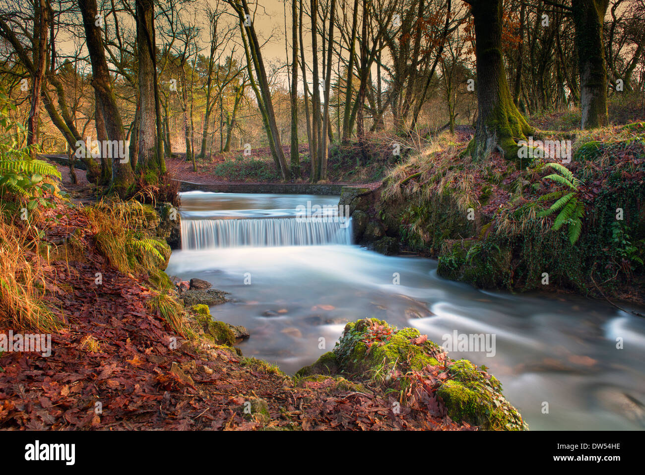 Une chute d'eau en hiver, la forêt de Dean, Gloucestershire, Angleterre, Grande-Bretagne, Royaume-Uni Banque D'Images
