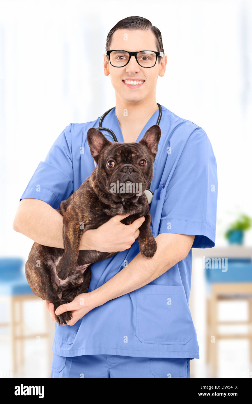 Jeune homme en uniforme vétérinaire détenant un bulldog, dans son bureau  Photo Stock - Alamy
