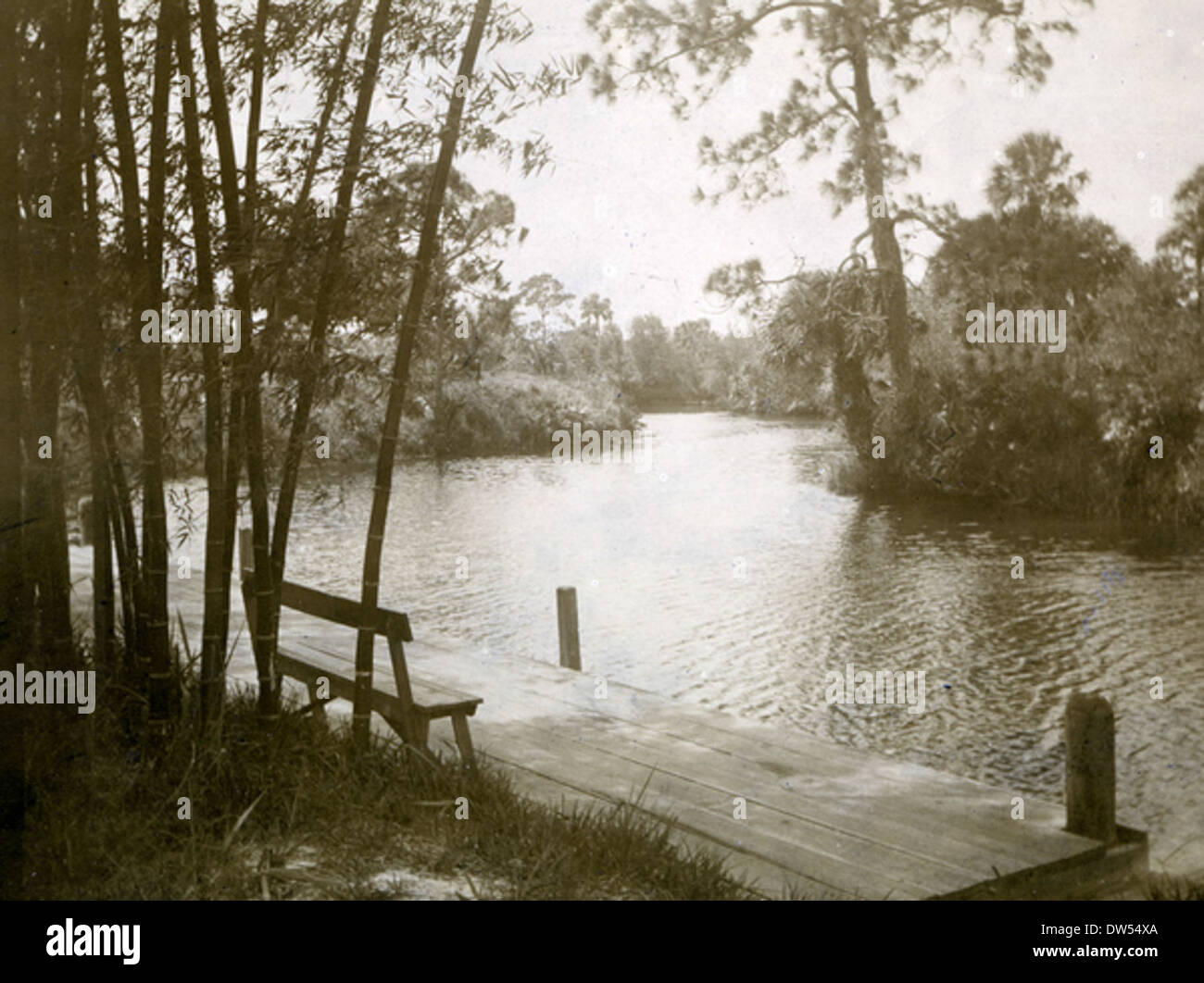 L'atterrissage sur le bambou Estero River Banque D'Images