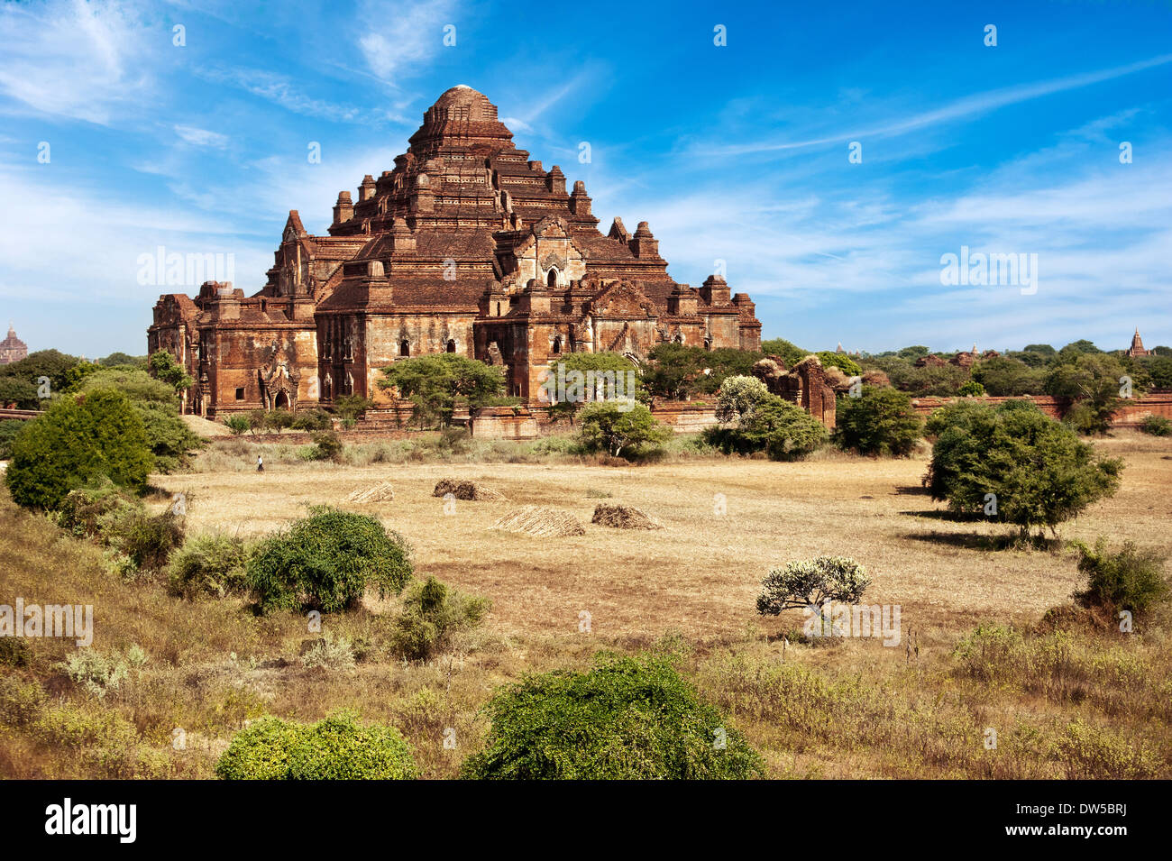 L'architecture ancienne vieux temples bouddhistes au Royaume Bagan Myanmar (Birmanie) Dhammayan Gyi plus grande pagode à Bagan dans un champ Banque D'Images