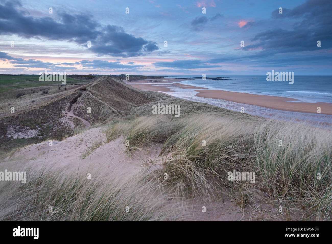 Au-dessus de dunes de sable de plage au crépuscule, Embleton, Northumberland, Angleterre. Printemps (mai) 2013. Banque D'Images
