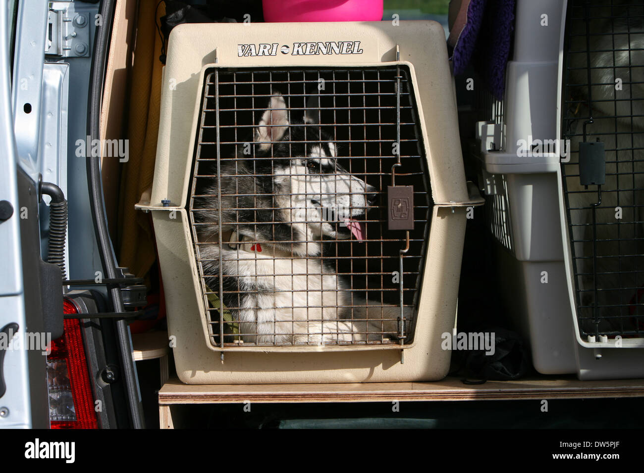 Dog transport box car Banque de photographies et d'images à haute  résolution - Alamy