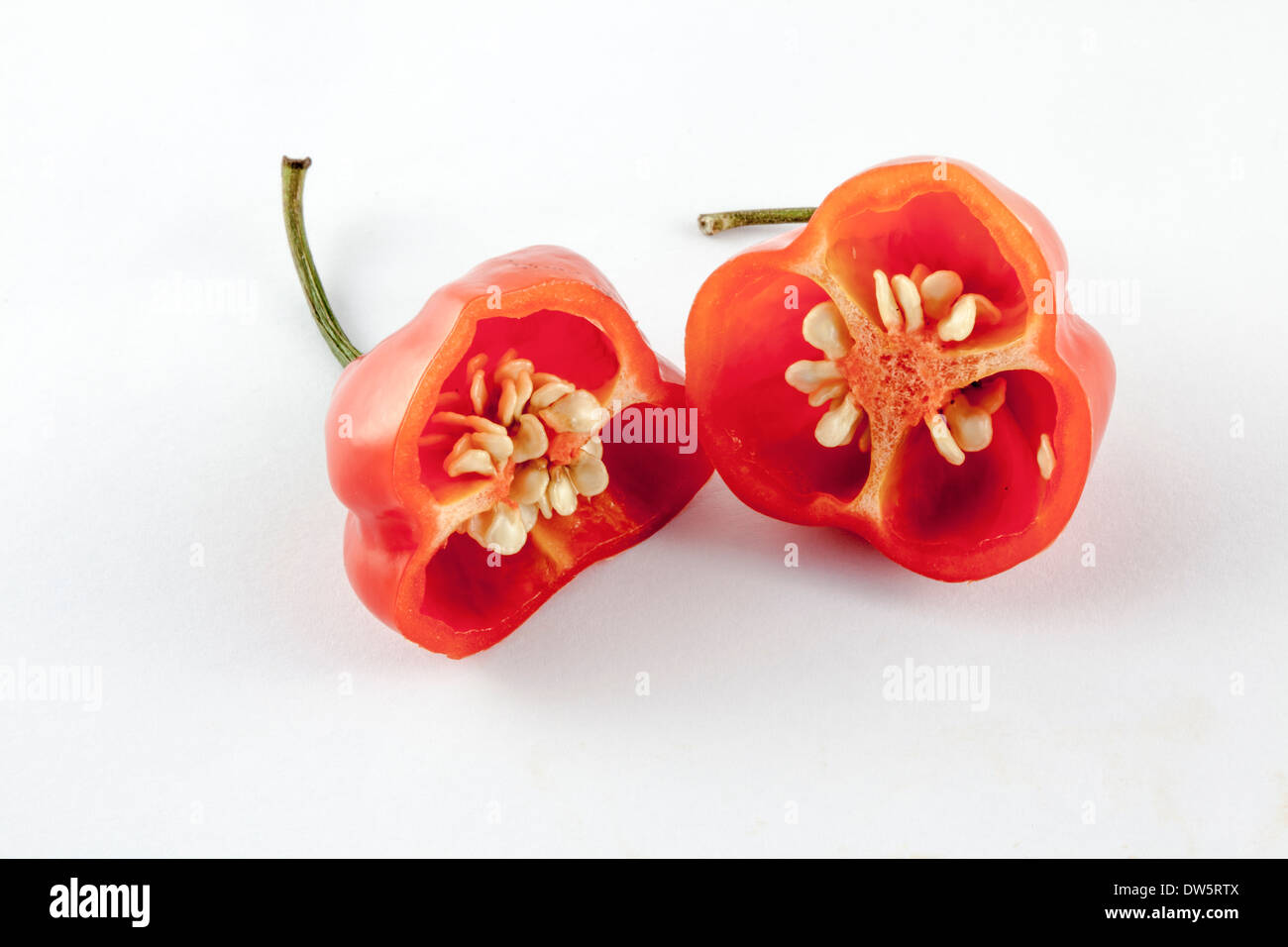 Un piments habanero chaud, rouge et fendu du cultivar C.Chinense de la famille Capsicum, nommé d'après la Havane à Cuba? Banque D'Images