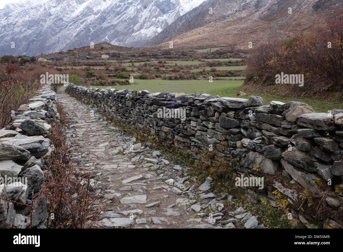 Chemin bordé de murs en pierre dans la vallée de la Tsum du Népal. Banque D'Images