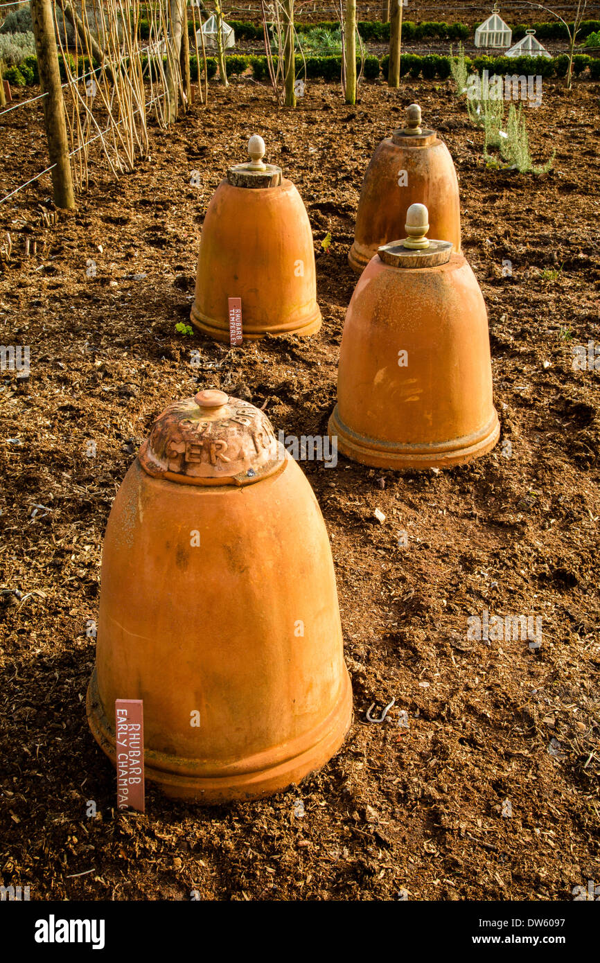 Cloches en terre cuite utilisé pour forcer le céleri et les poireaux rhubarbe dans un jardin de campagne anglaise UK Banque D'Images
