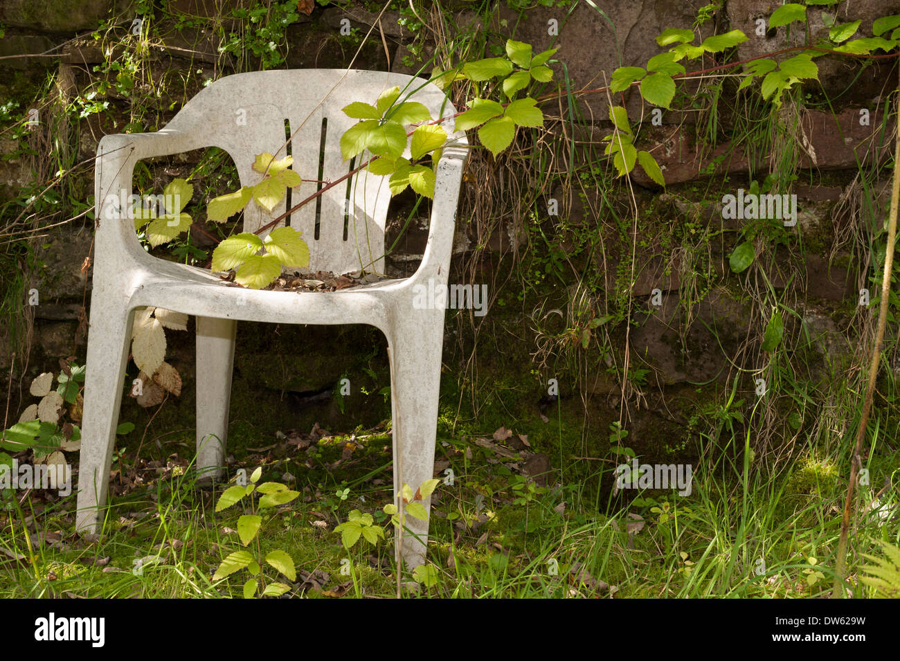 Une vieille chaise de jardin, abandonné dans une basse-cour, ne soient envahies par la végétation. Banque D'Images