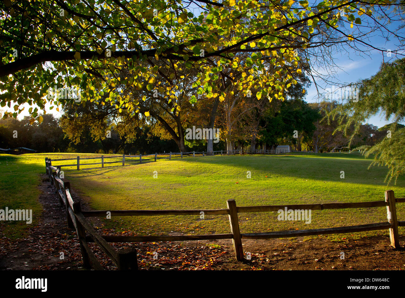 Couleurs d'automne au William Land Park, Sacramento, Californie. Banque D'Images
