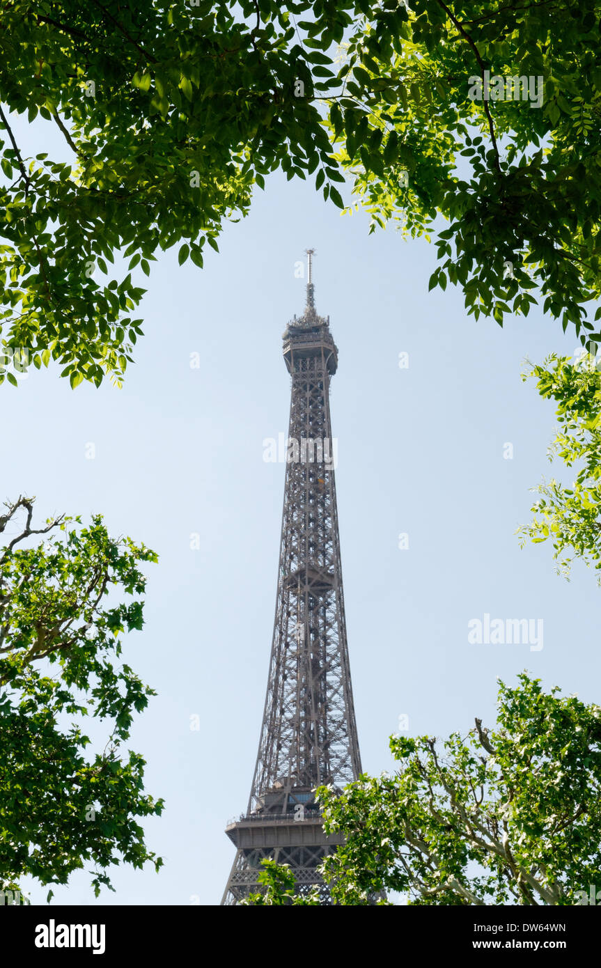 La Tour Eiffel entourée d'arbres Banque D'Images