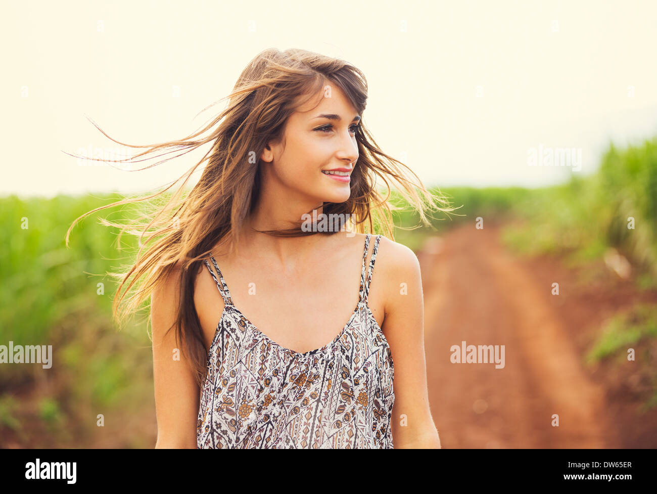 Superbe fille romantique en plein air. Beau Modèle de Robe courte en champ. Longtemps les cheveux au vent. Couleurs chaudes, rétroéclairé tonne Banque D'Images