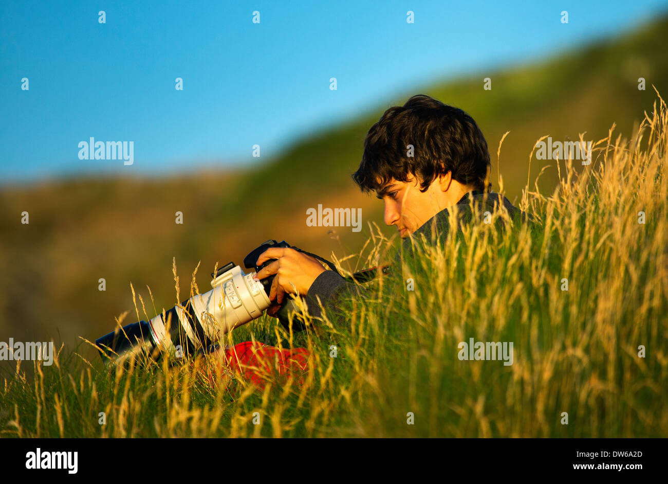 Un jeune photographe de la faune l'examen de ses images Banque D'Images