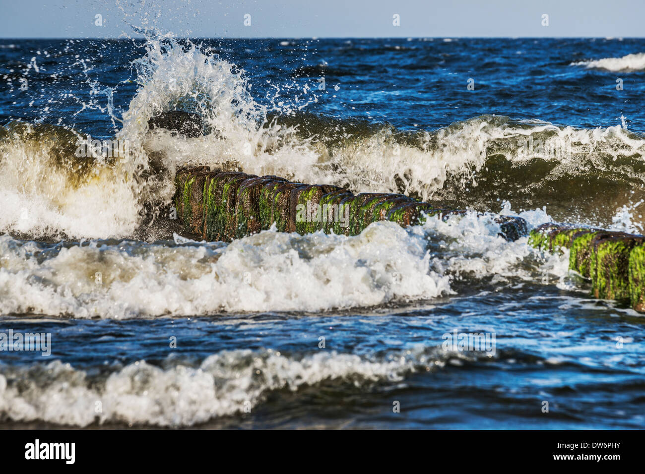 Épis à la plage de la mer Baltique, près de l'île d'Usedom, Mecklembourg-Poméranie-Occidentale, Allemagne, Europe Banque D'Images