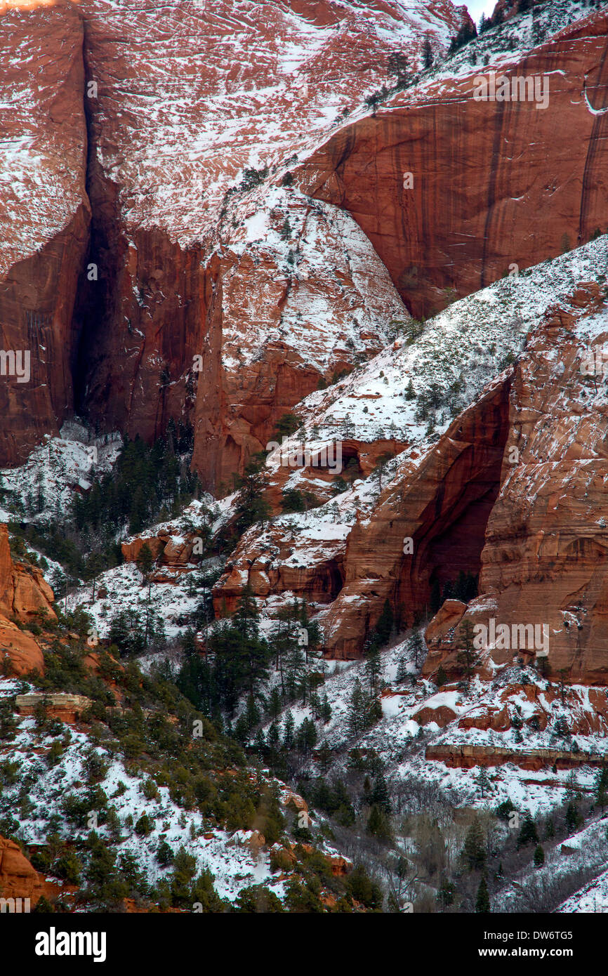 Les canyons des doigts, Kolab Zion National Park, Utah Banque D'Images