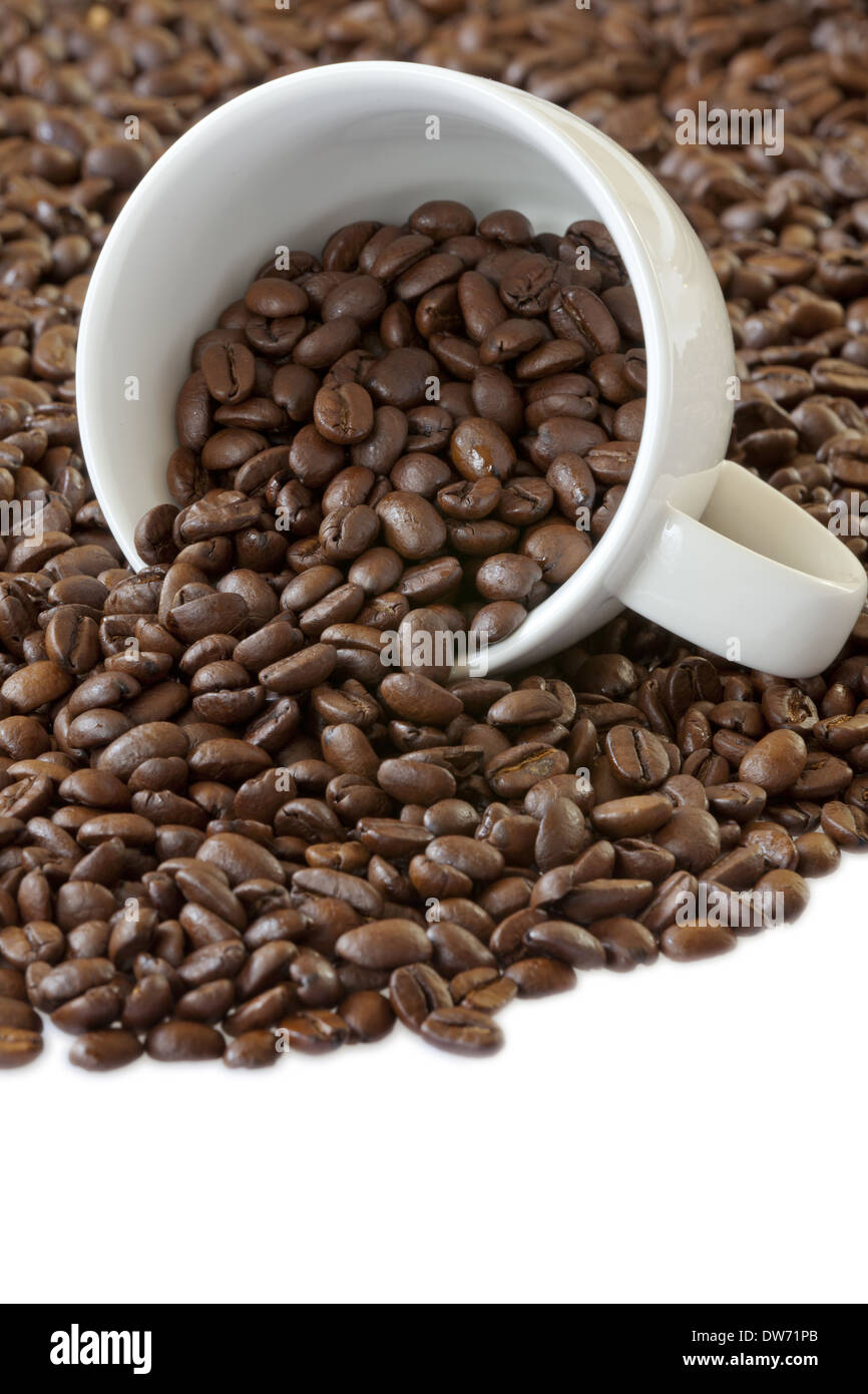 Tasse de café blanc se trouve entre beaucoup de café en grains Banque D'Images