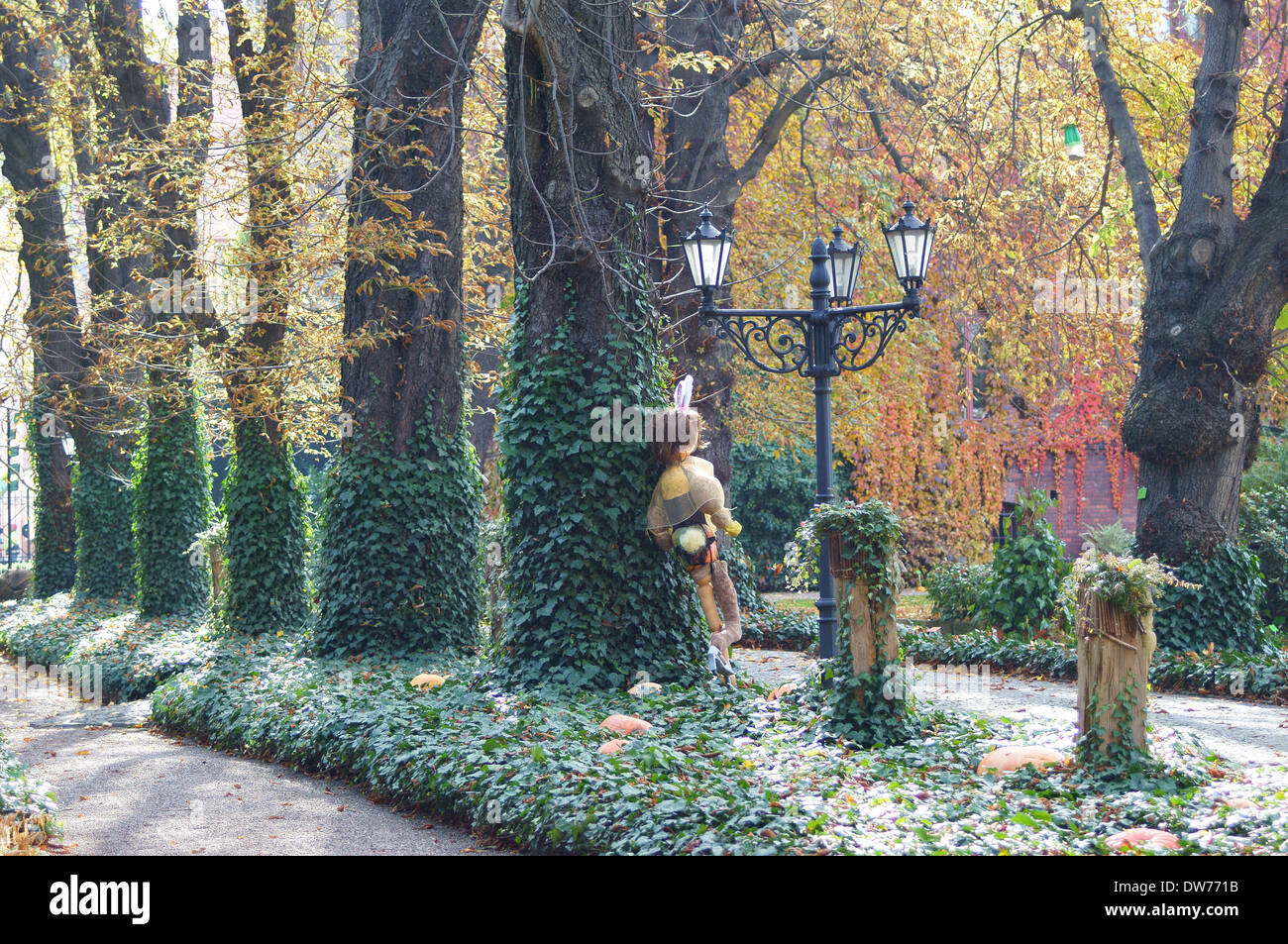 Colofrul ensoleillée journée jardin botanique de l'automne feuillage Wrocław Banque D'Images