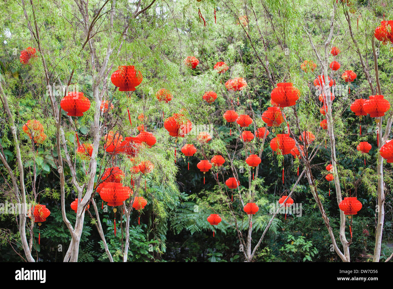 Le Nouvel An chinois lampions rouges décoration et glands avec texte de la prospérité sur la pendaison de la plaque sur les arbres Banque D'Images