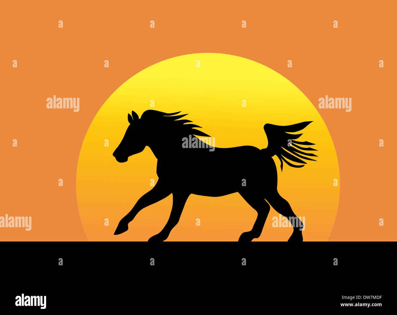 Cheval au galop d'ossature contre coucher de soleil Banque D'Images