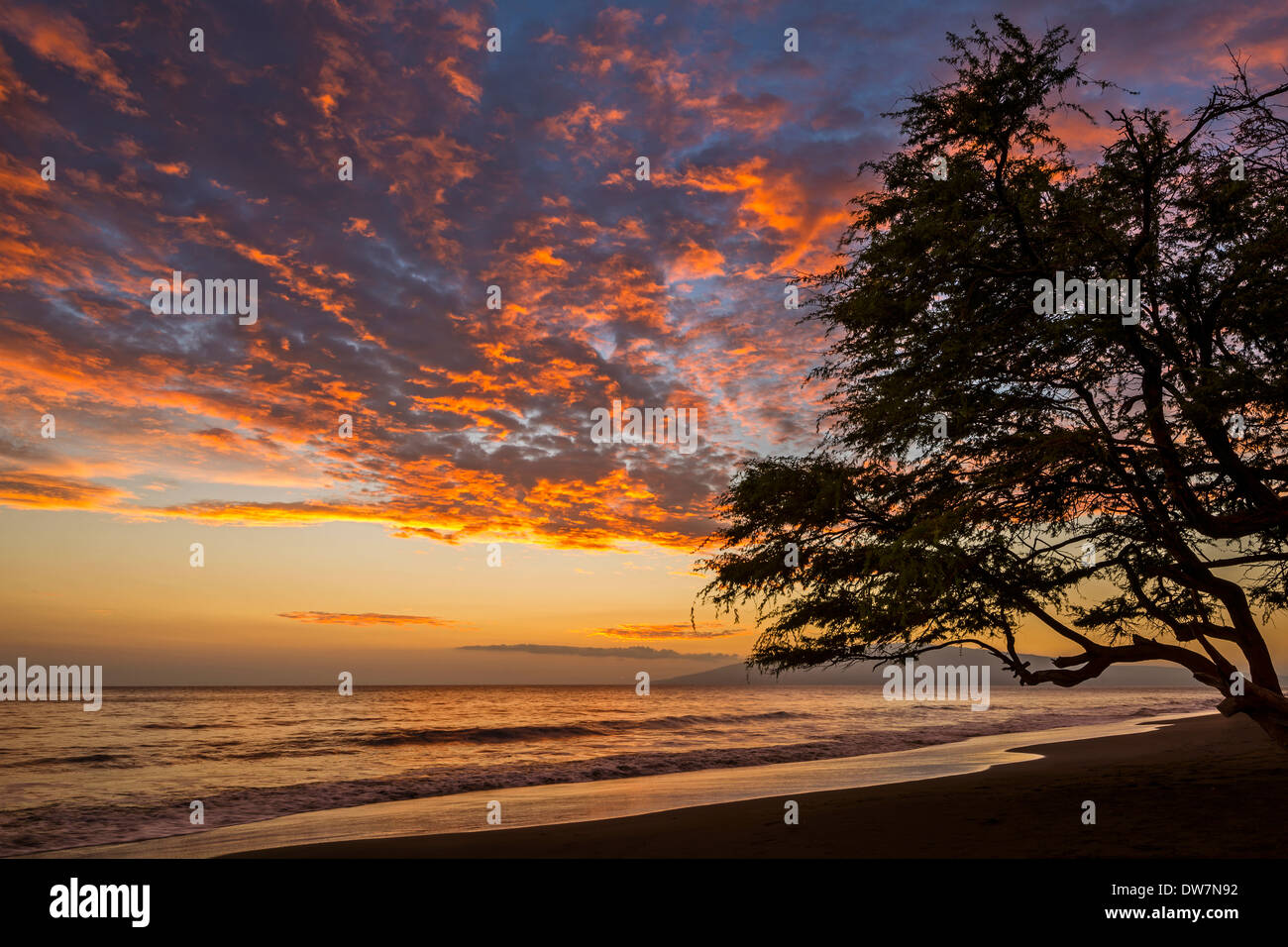 Plage spectaculaire coucher de soleil dans la ville de Lahaina sur l'île hawaïenne de Maui. Banque D'Images