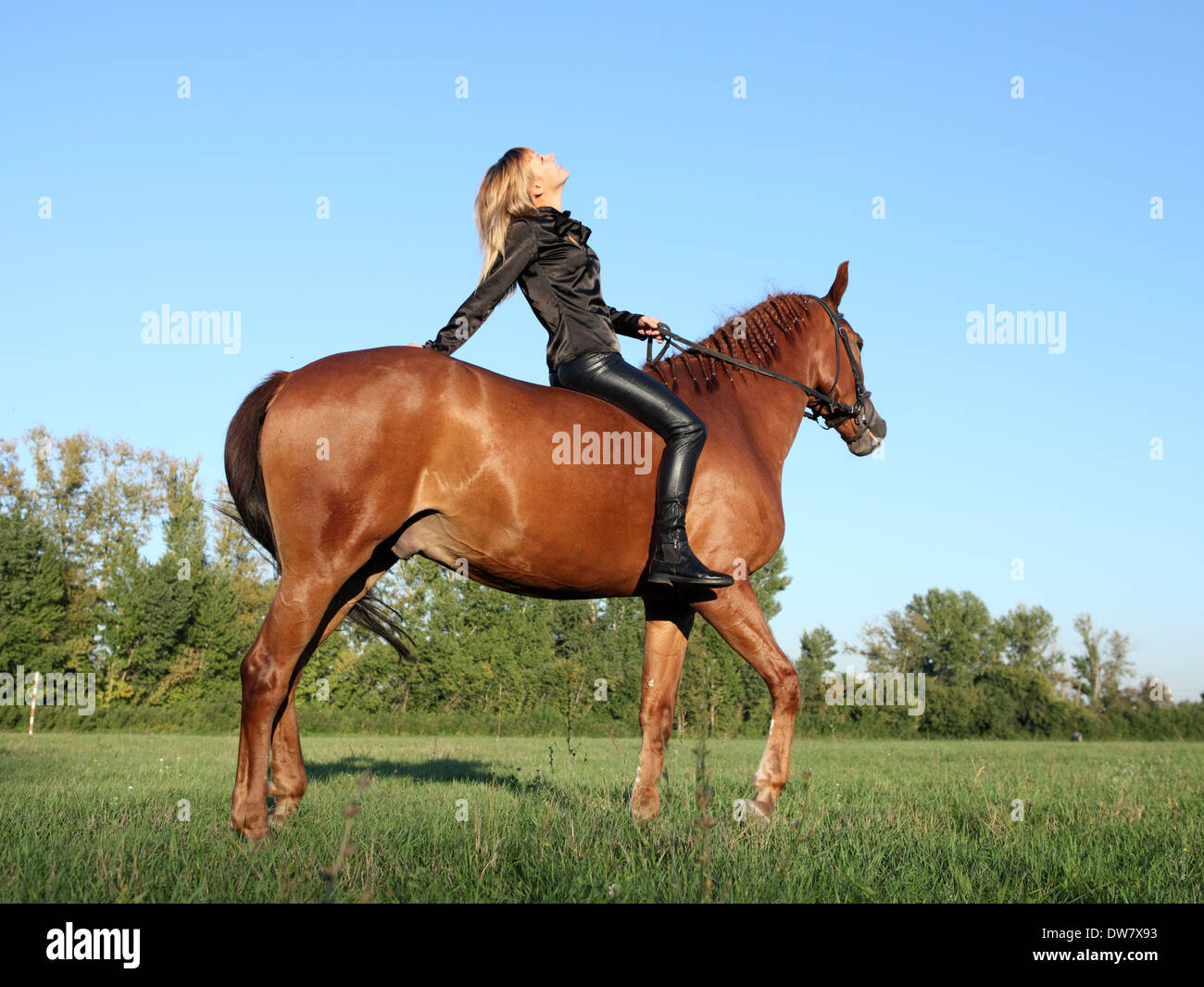 Locations de modes de Desseller- l'équitation au coucher du soleil Banque D'Images