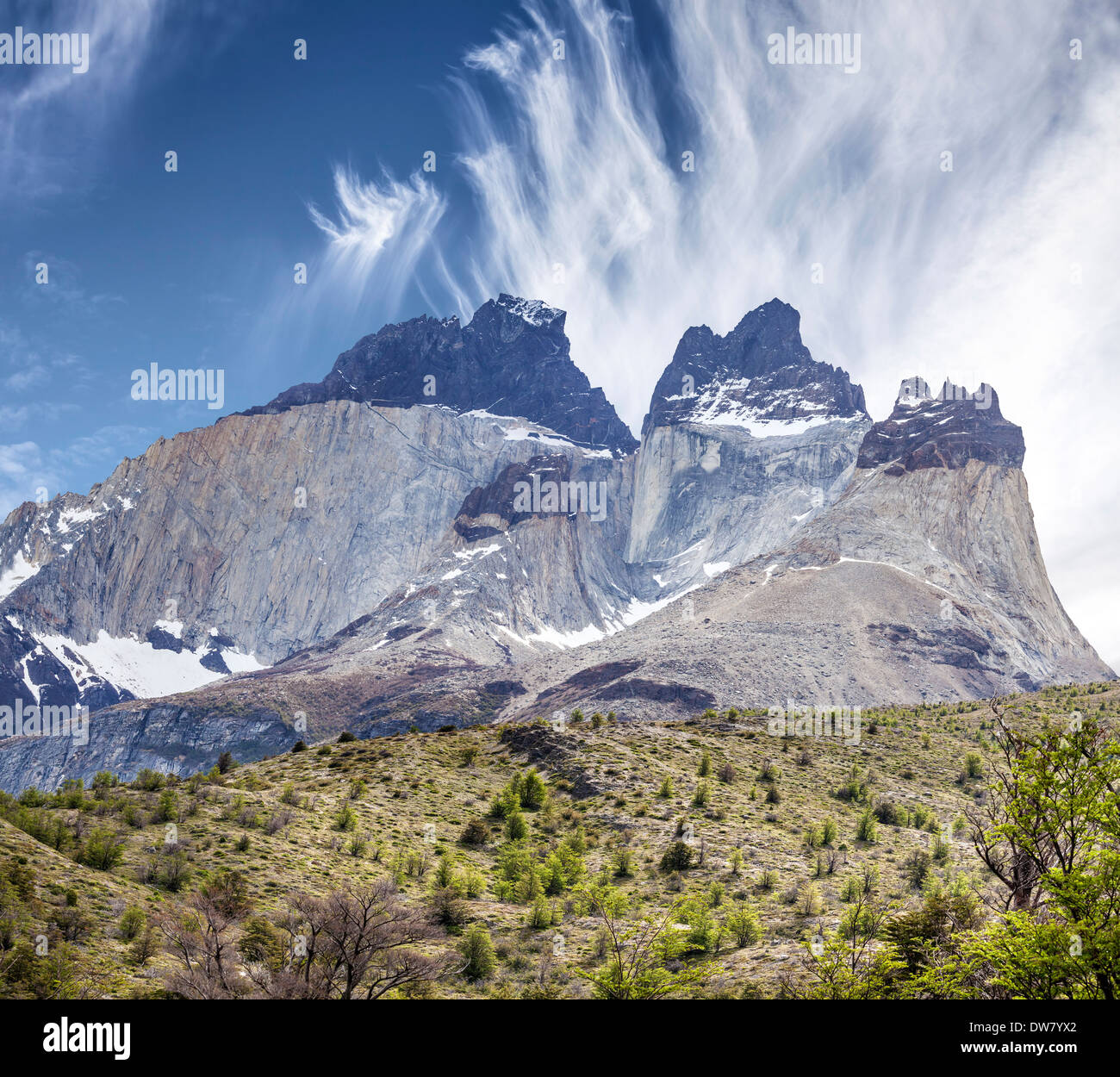 Les cornes dans le Parc National Torres del Paine, Chili. Banque D'Images