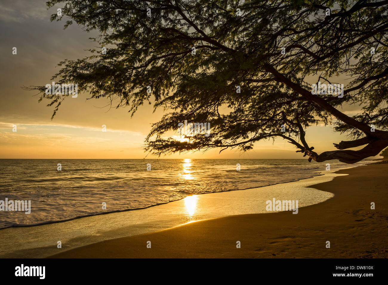 Plage spectaculaire coucher de soleil dans la ville de Lahaina sur l'île hawaïenne de Maui. Banque D'Images
