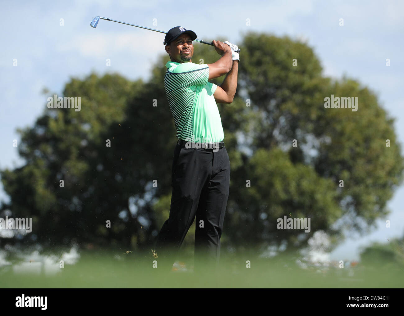 En Floride, aux États-Unis. 28 Février, 2014. Tiger Woods au cours de la deuxième ronde de la Classique Honda au PGA National Champion Course, Palm Beach Gardens, FL © Plus Sport Action/Alamy Live News Banque D'Images
