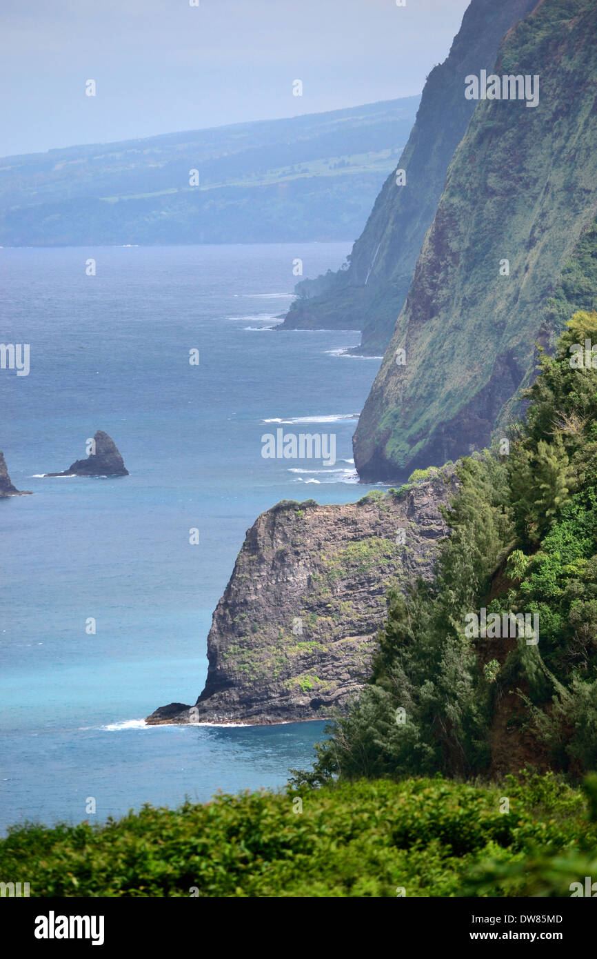 L'océan et les falaises rocheuses de la Vallée de Pololu, North Kohala, Big Island, Hawaii, USA Banque D'Images