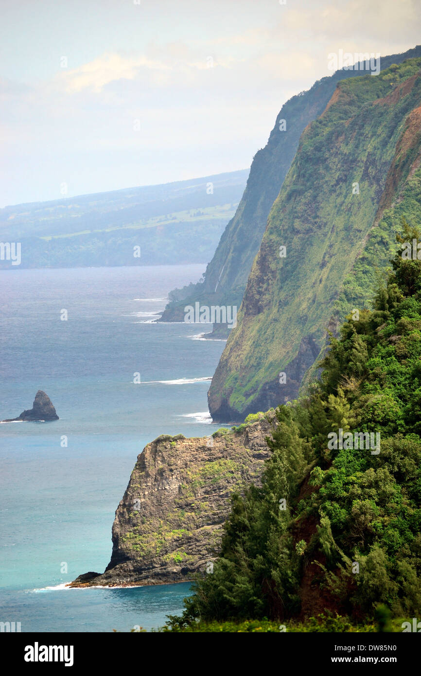 L'océan et les falaises rocheuses de la Vallée de Pololu, North Kohala, Big Island, Hawaii, USA Banque D'Images