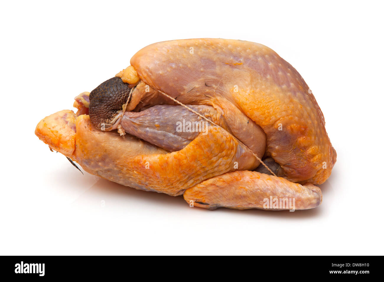 Non cuite pintade isolated on a white background studio. Banque D'Images