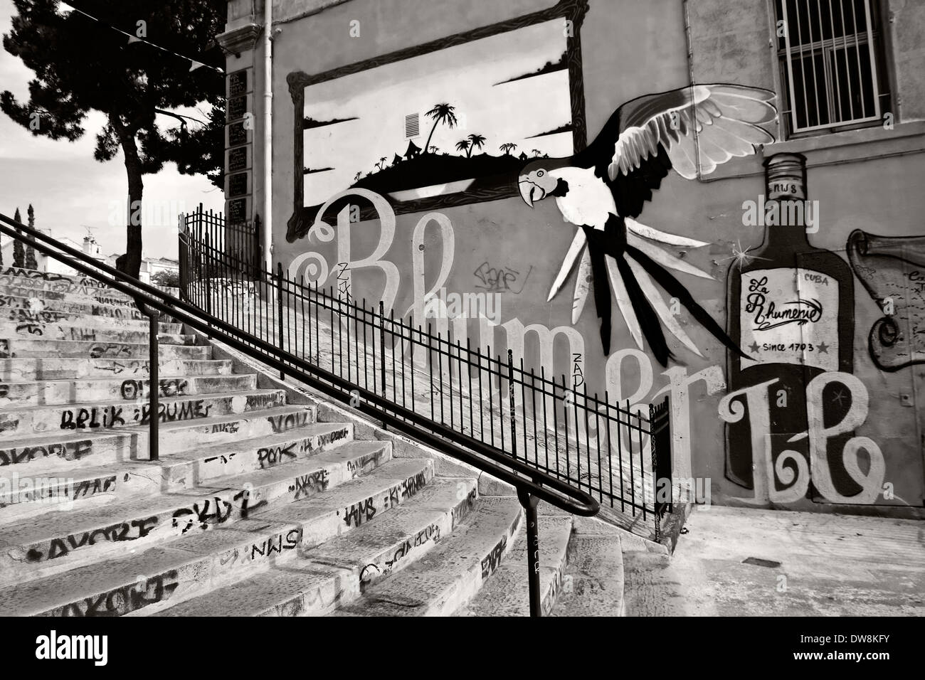 Les murs remplis de graffitis sur les étapes menant à cours Julien de Marseille, France, image, perroquet photogaph noir & blanc Banque D'Images