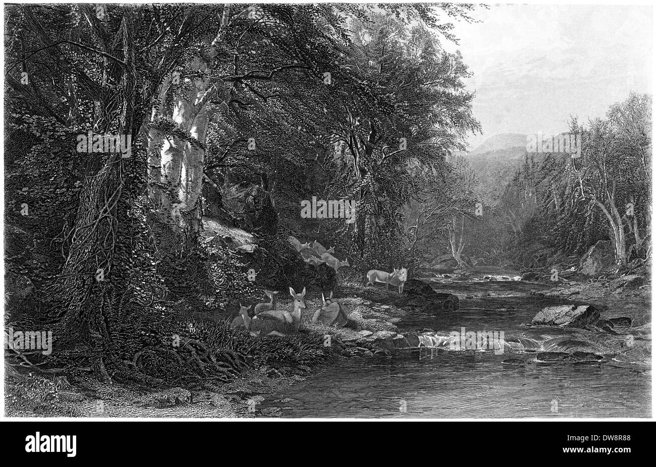Intitulée "La gravure d'après une peinture Bois Adirondack par J M Hart' numérisées à haute résolution à partir d'un livre publié en 1874. Fre auteur croyait Banque D'Images