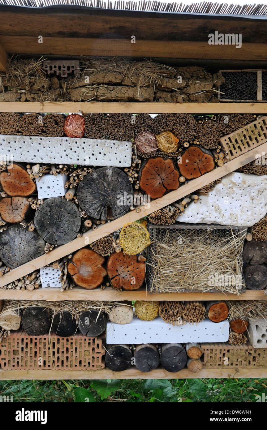 Nid pour insectes Banque de photographies et d’images à haute — free download