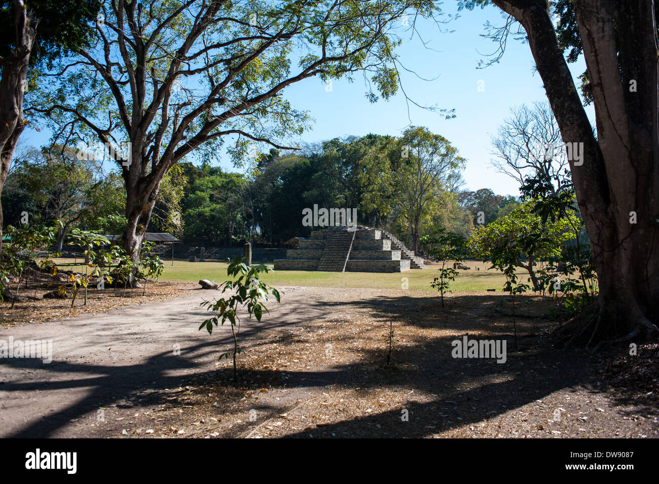 Parc archéologique de Copán Ruinas, au Honduras Banque D'Images