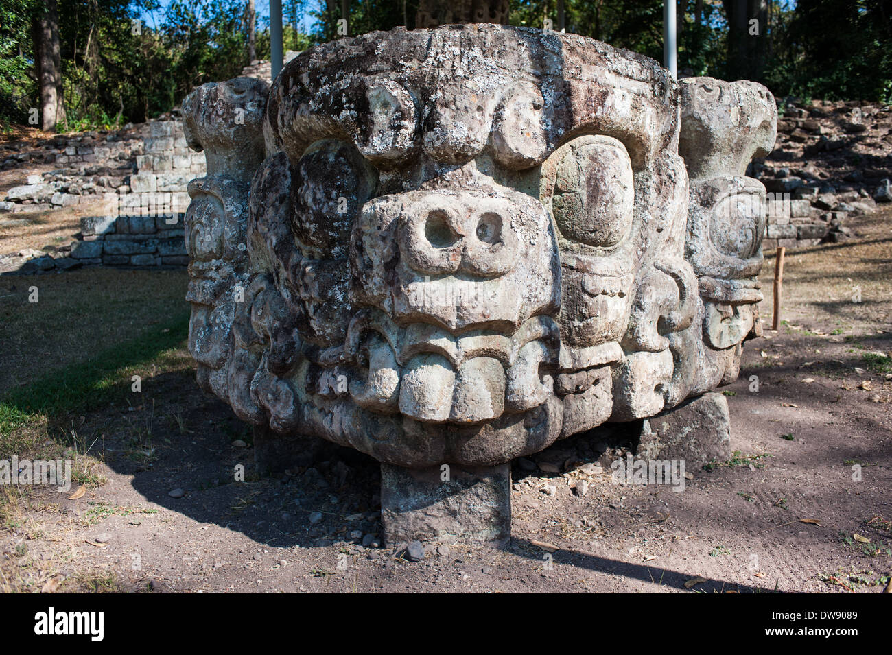 Une sculpture au parc archéologique de Copán Ruinas, au Honduras Banque D'Images