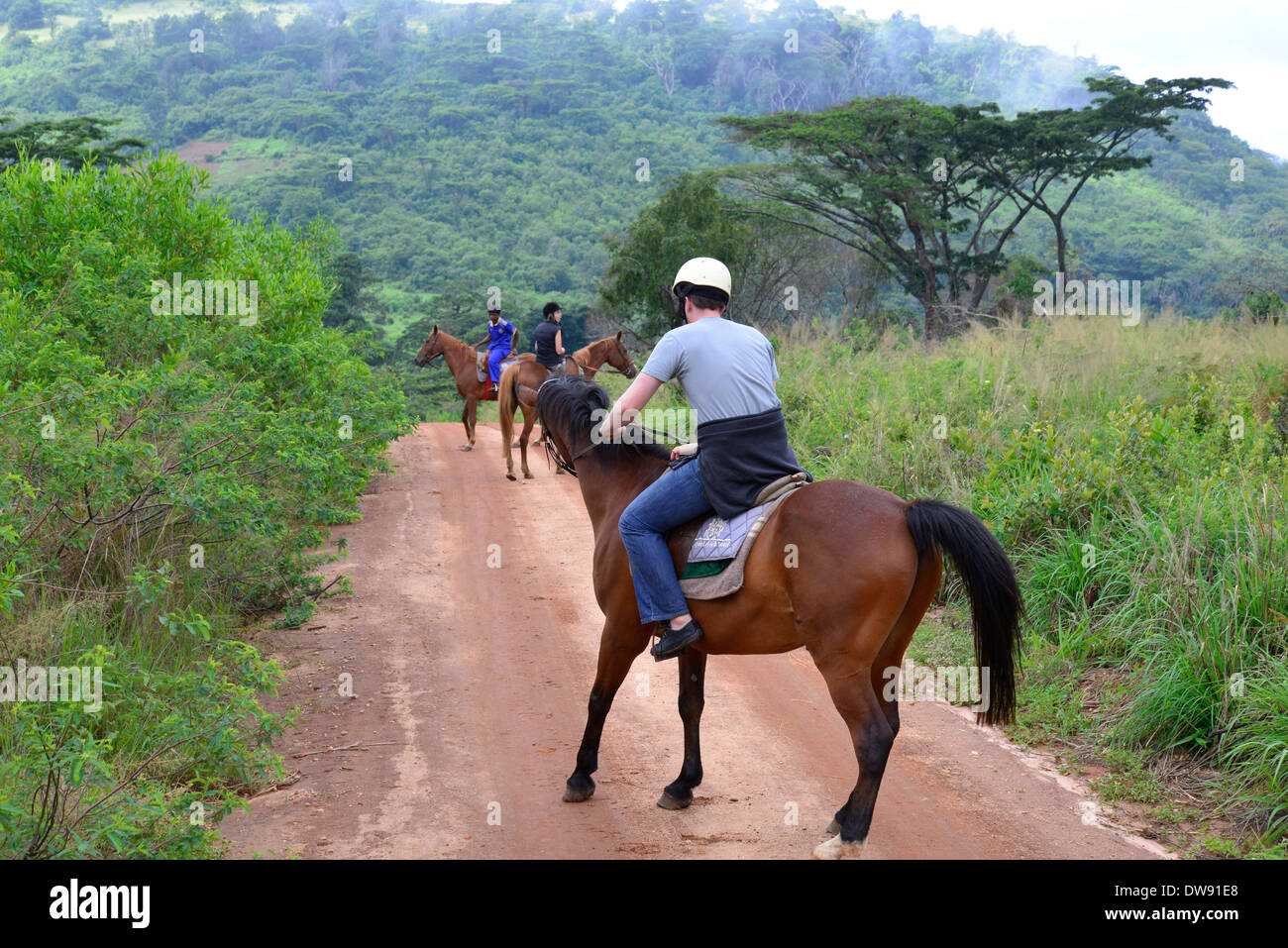 L'équitation dans l'eastern highlands du Zimbabwe en Afrique centrale. Banque D'Images