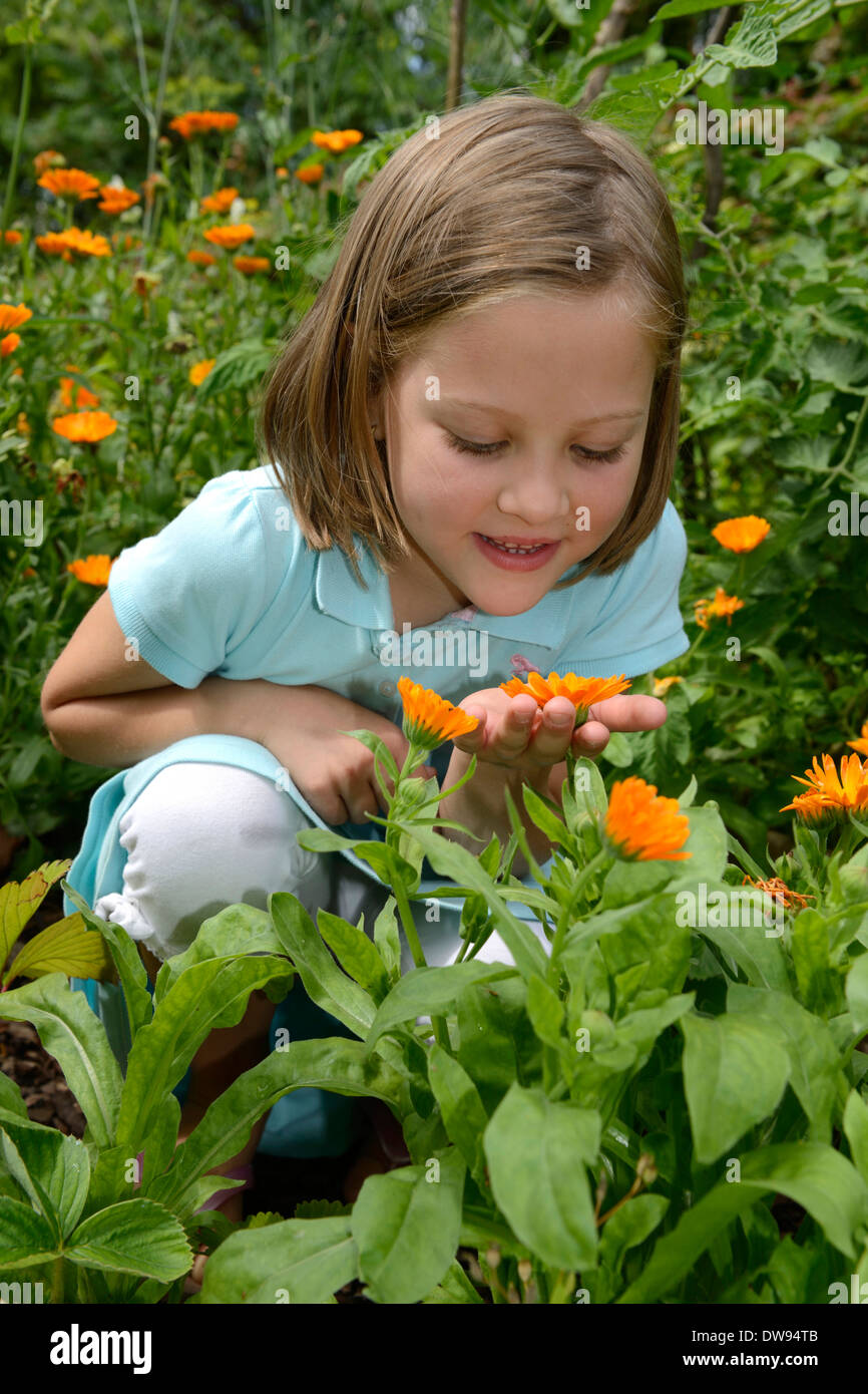 Girl et Jardin Marigold Banque D'Images