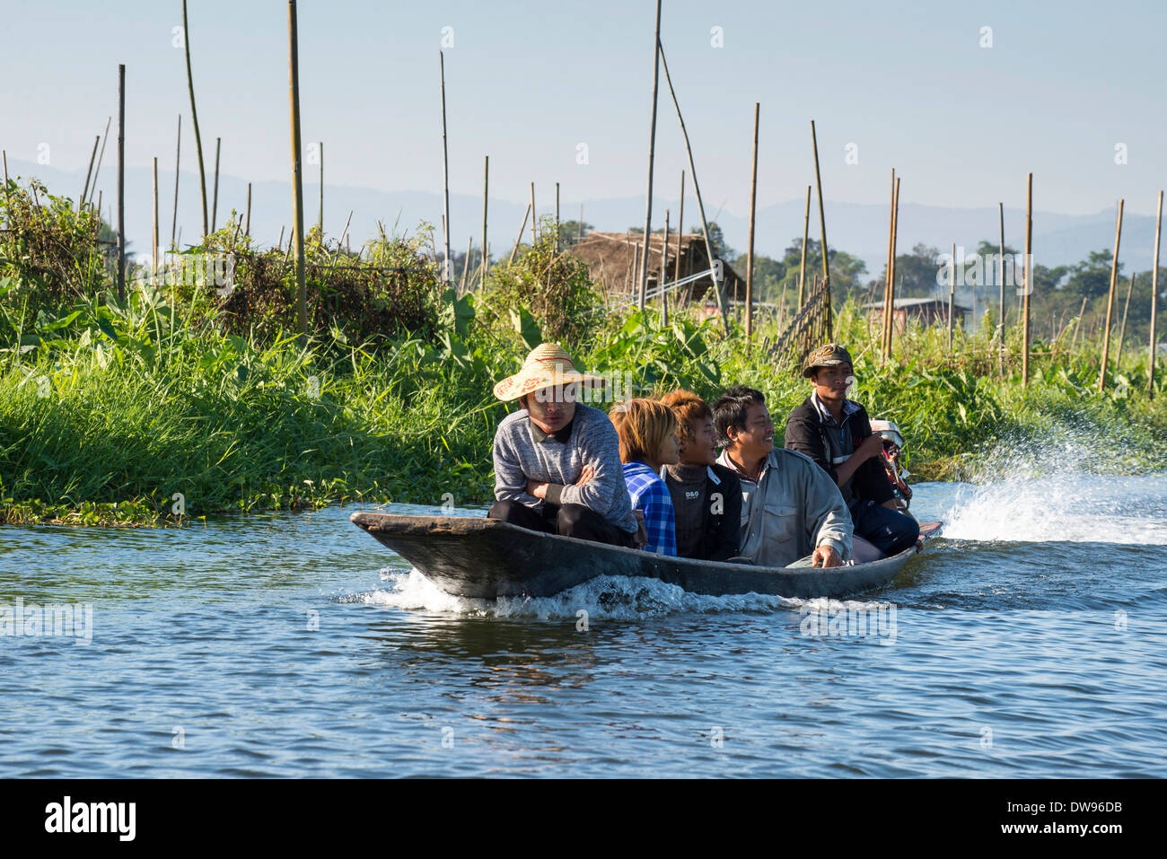 Personnes dans un canot, champ, jardin flottant sur l'eau, lac Inle, l'État de Shan, Myanmar Banque D'Images