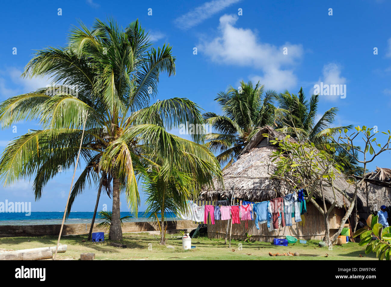 Hut sous les palmiers, village du peuple Kuna, Nalunega, îles San Blas, Panama, Caraïbes Banque D'Images