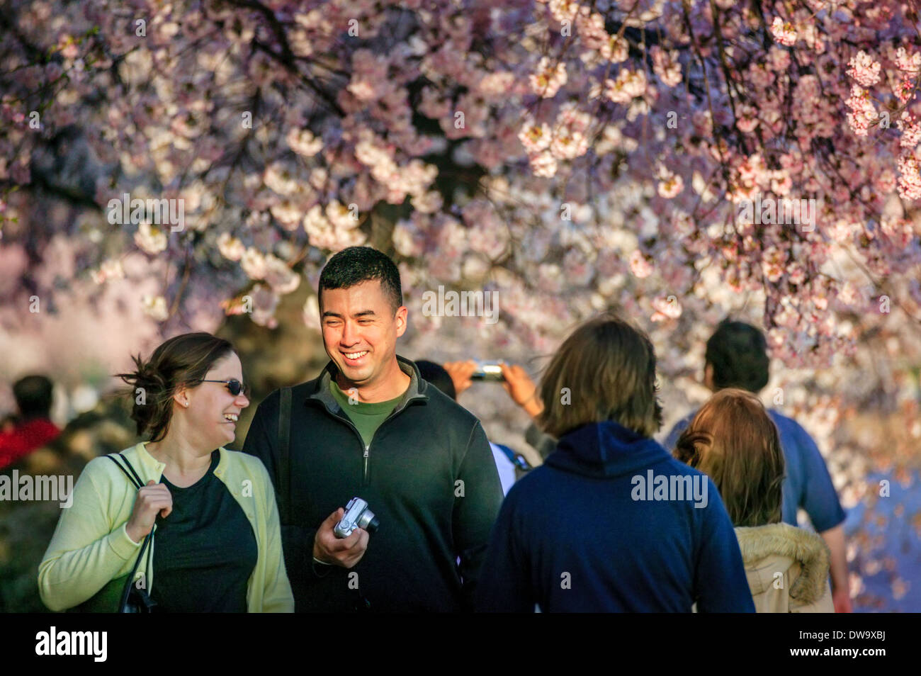 Beaucoup de gens profiter de fleurs de cerisier japonais entourant le bassin de marée, Washington DC, District of Columbia. USA Banque D'Images