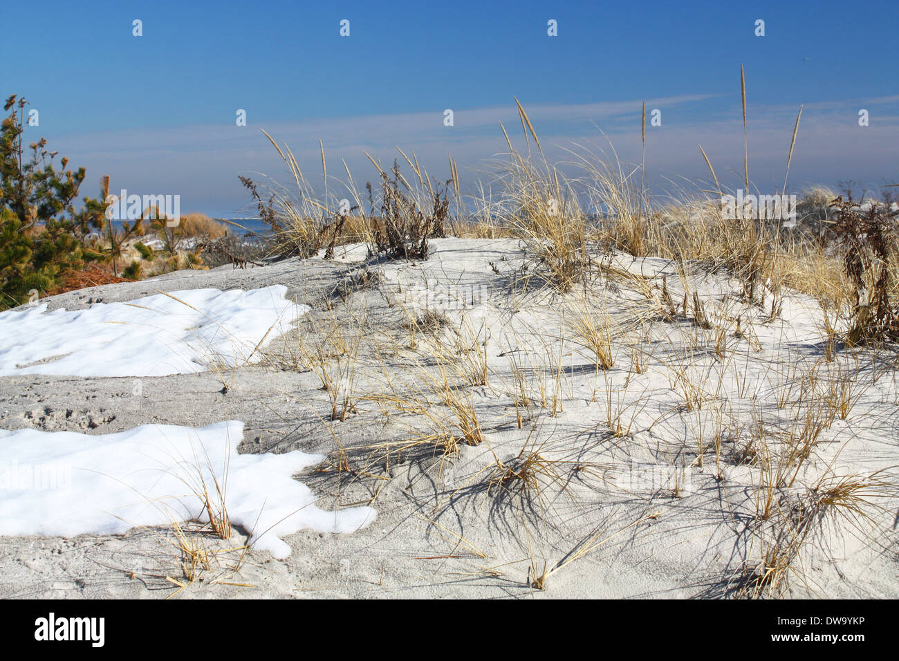 Lido Beach Dune en hiver Banque D'Images