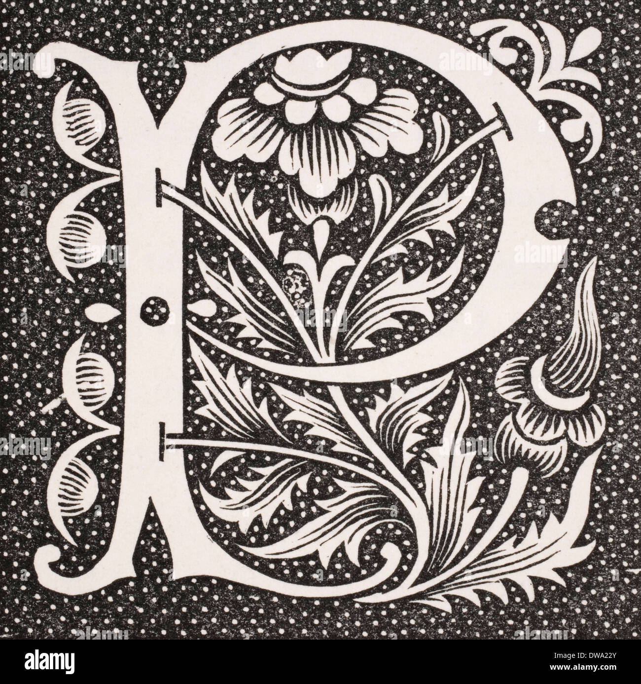 Capital de décoration lettre P Banque D'Images