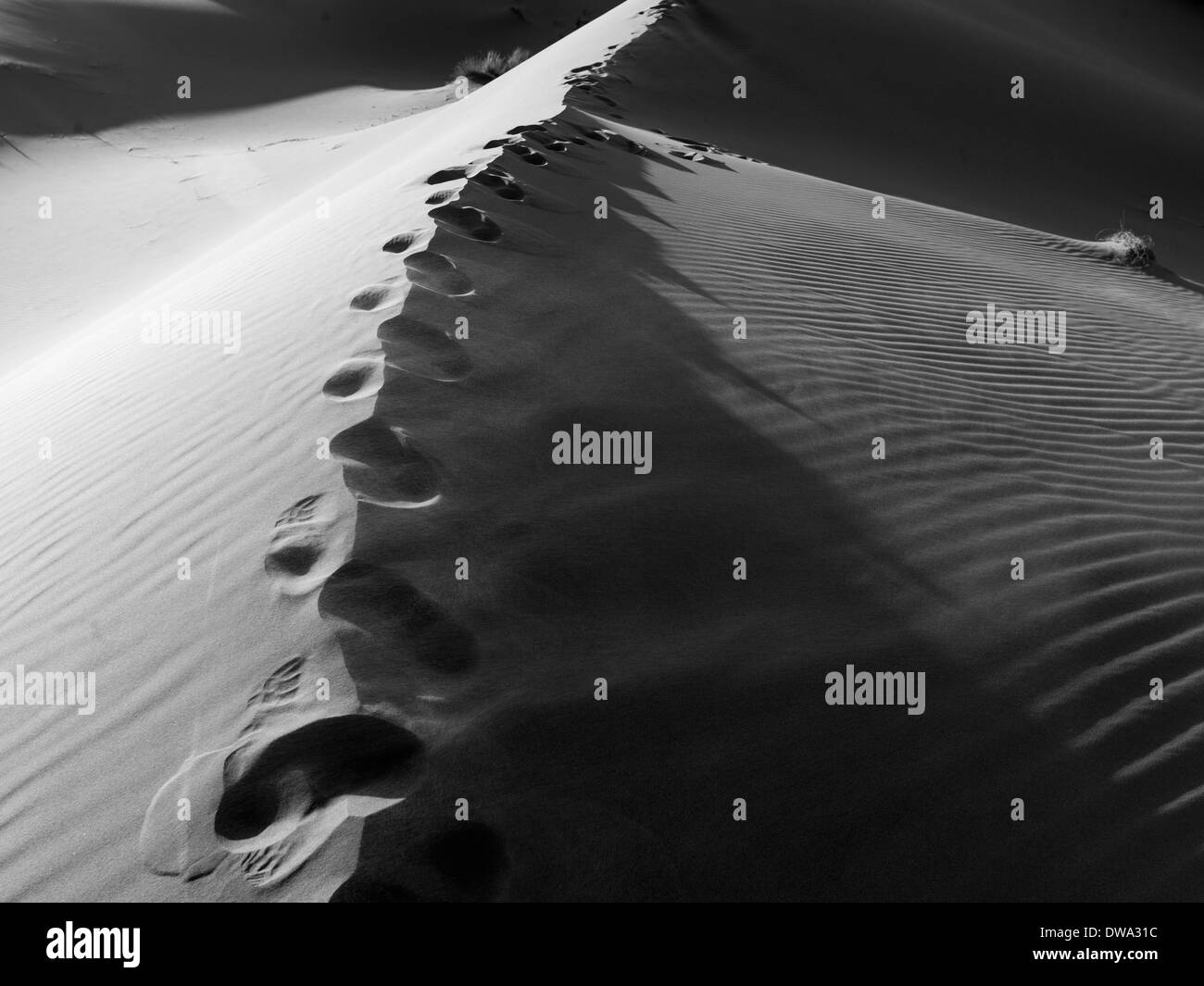 Erg Chegaga Dunes en désert du Sahara, Maroc Banque D'Images