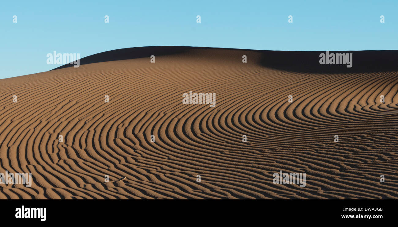 Erg Chegaga Dunes en désert du Sahara, Maroc Banque D'Images