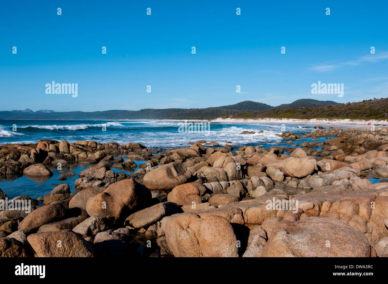 Plages Réserver 140 ha est une réserve naturelle côtière de l'est de la Tasmanie, en Australie, à 190 km au nord-est de Hobart et 180 Banque D'Images