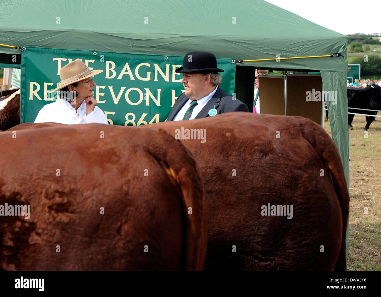 Les juges Bovins Bovins Rouge avec Devon à Melplash Agricutural Show Bridport Banque D'Images
